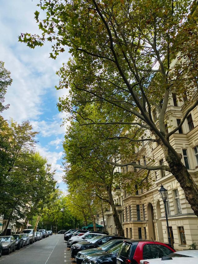 Altbaustraße mit Platanen im Kollwitzkiez, Berlin Prenzlauer Berg